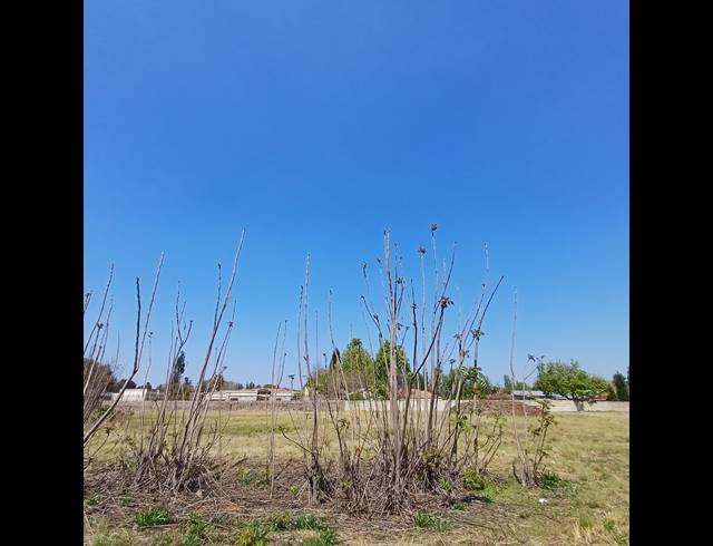 2,000M² VACANT LAND FOR SALE IN HENLEY ON KLIP